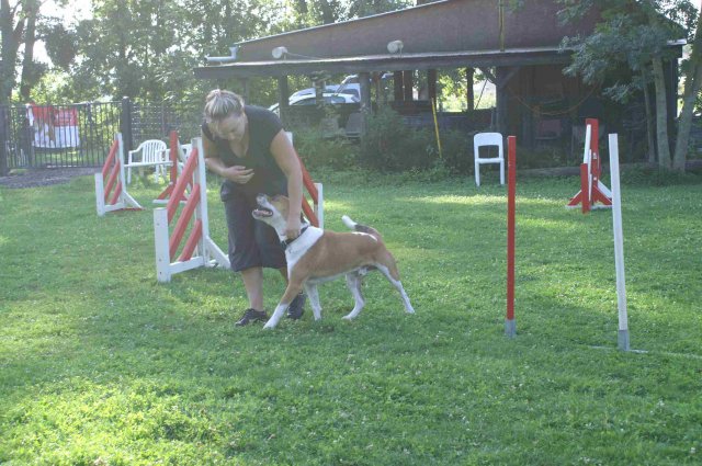 agility 2011-08